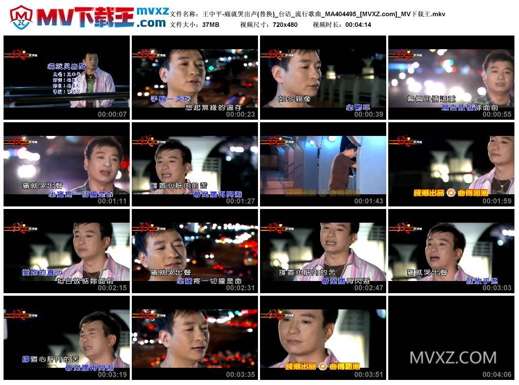 王中平-痛就哭出声(替换)_台语_流行歌曲_MA404495